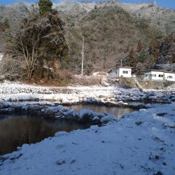 寒すぎて釣れない